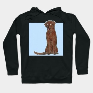 Labrador retriever Hoodie